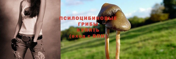 первитин Волосово