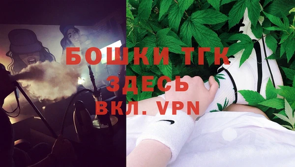 Альфа ПВП Горняк