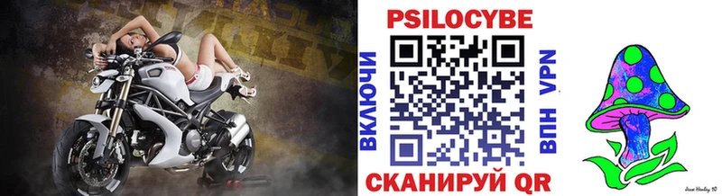 mega ссылки  Емва  Псилоцибиновые грибы ЛСД 